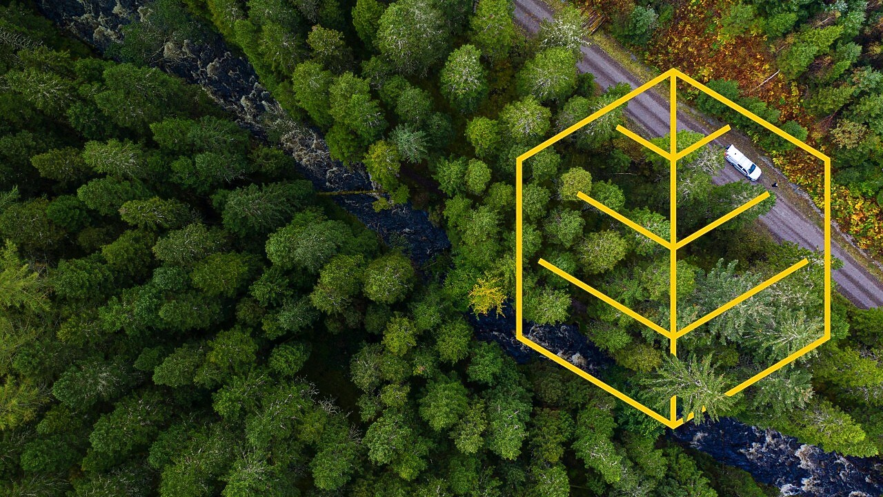 Respeto por la naturaleza