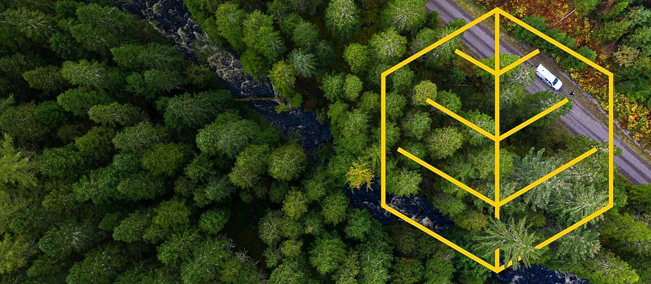Vista aérea de un río y un camión blanco en una carretera en un bosque de pinos con un resumen del gráfico de Respeto por la naturaleza