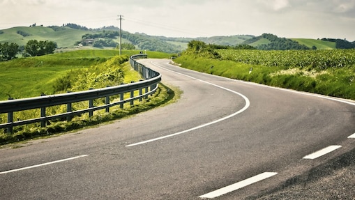 Ruta bien conservada rodeada de árboles