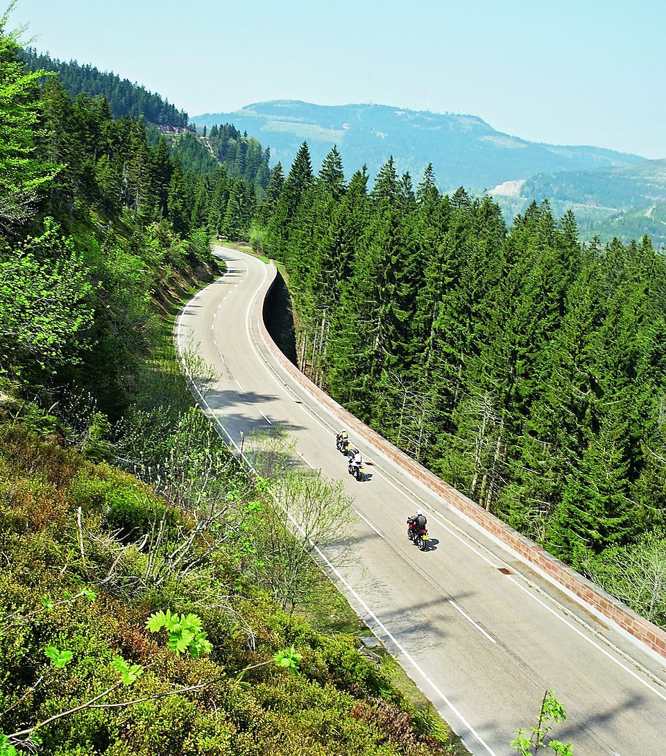 Tres motos circulando por una ruta de montaña bordeada de árboles