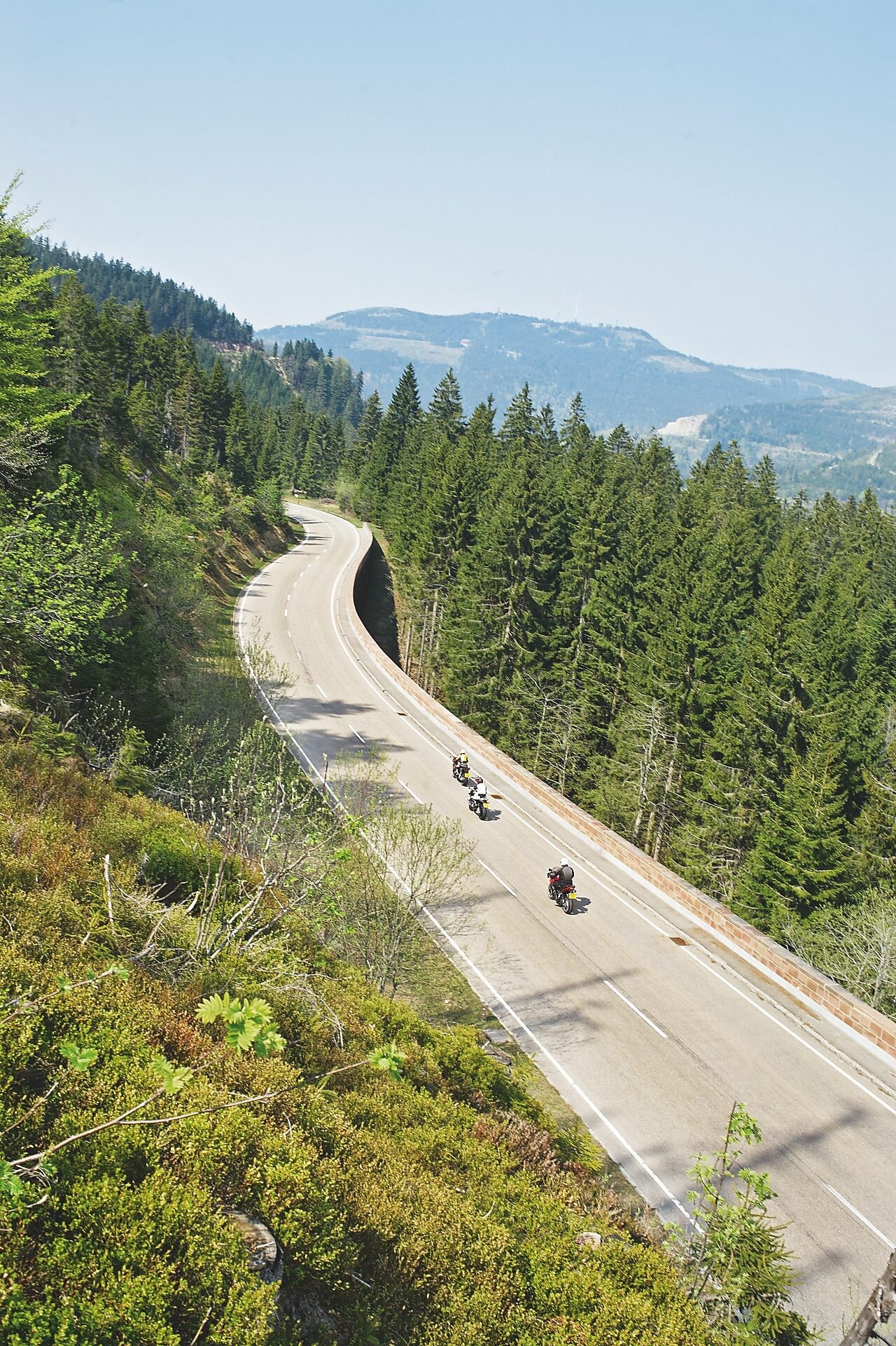Tres motos circulando por una ruta de montaña bordeada de árboles